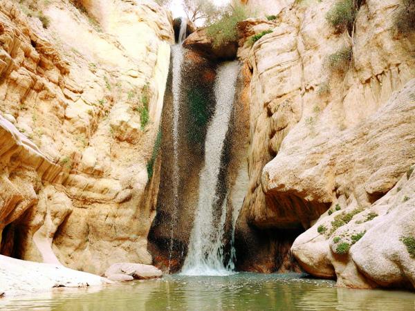 Ein Gedi photo