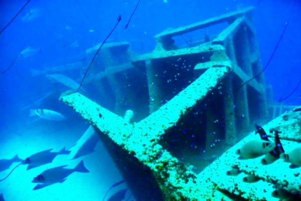 Sunken ferry MS Zenobia photo