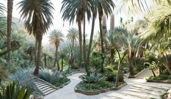 Alfabia Gardens photo