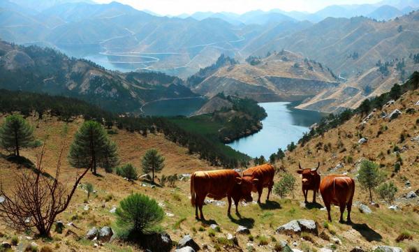 Peneda-Gerês photo