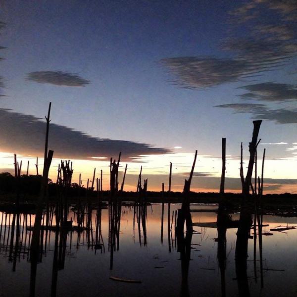 Bavaro swamp photo