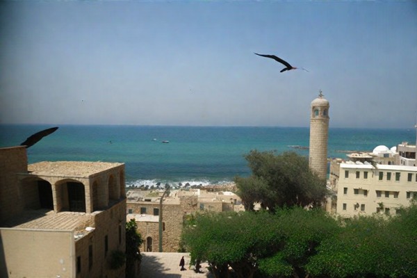 Al-Bahr Mosque photo